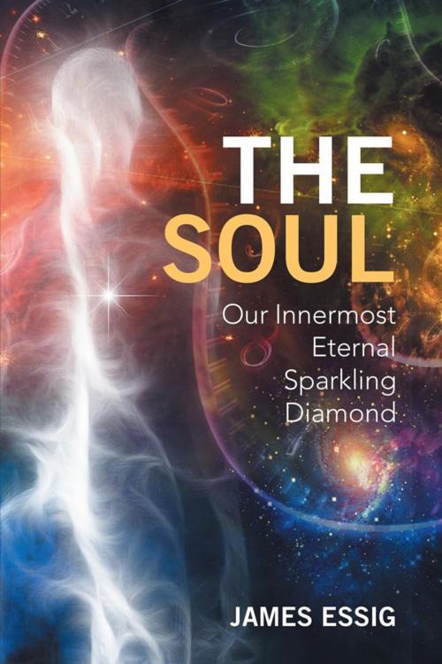 Cover of the book The Soul by James Essig, Xlibris US