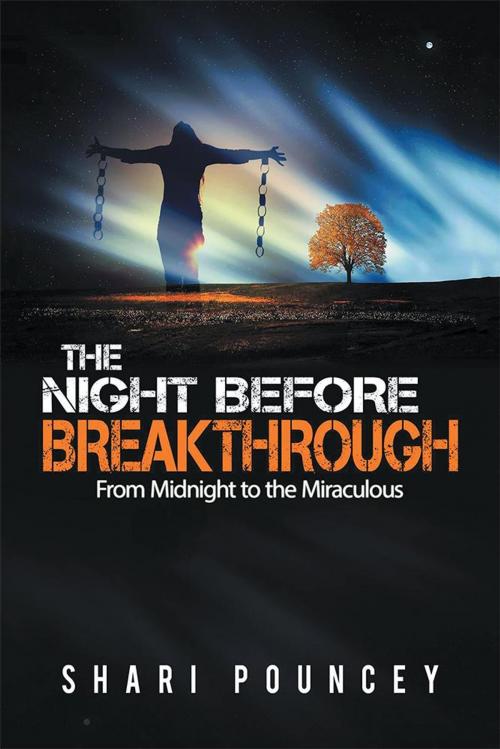 Cover of the book The Night Before Breakthrough by Shari Pouncey, Xlibris US