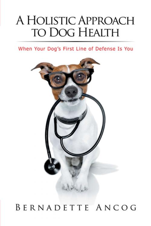 Cover of the book A Holistic Approach to Dog Health by Bernadette Ancog, Xlibris US