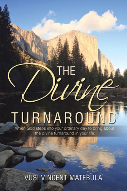 Cover of the book The Divine Turnaround by Vusi Vincent Matebula, Xlibris UK