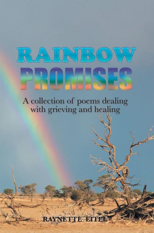 Cover of the book Rainbow Promises by Raynette Eitel, Xlibris US