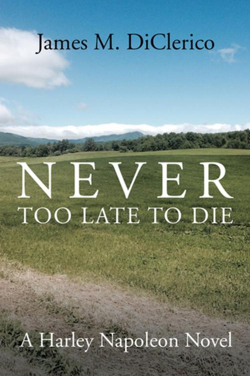 Cover of the book Never Too Late to Die by James M. DiClerico, AuthorHouse