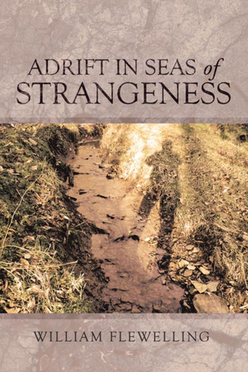 Cover of the book Adrift in Seas of Strangeness by William Flewelling, AuthorHouse