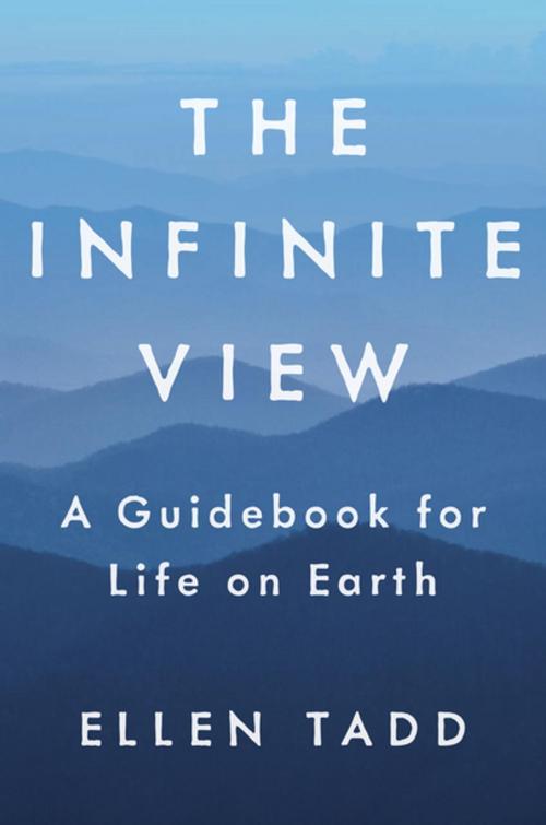 Cover of the book The Infinite View by Ellen Tadd, Penguin Publishing Group
