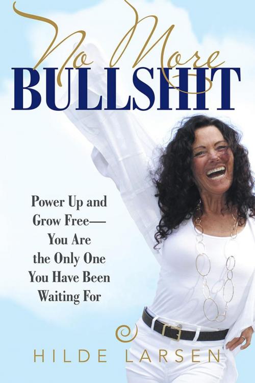 Cover of the book No More Bullshit by Hilde Larsen, iUniverse