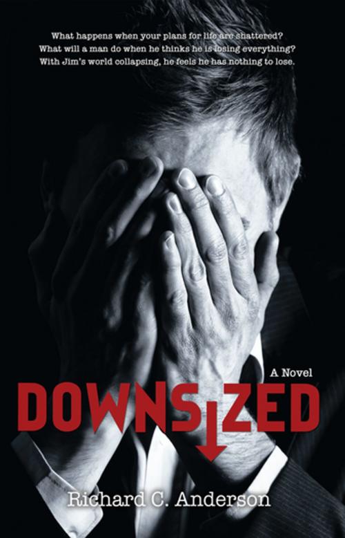 Cover of the book Downsized by Richard C. Anderson, iUniverse