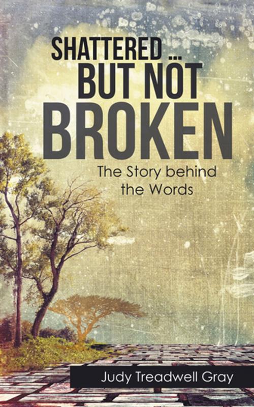 Cover of the book Shattered … but Not Broken by Judy Treadwell Gray, iUniverse