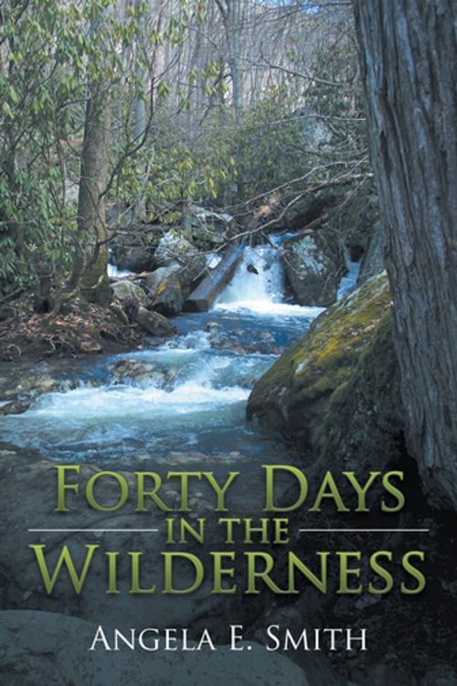 Cover of the book Forty Days in the Wilderness by Angela E. Smith, iUniverse