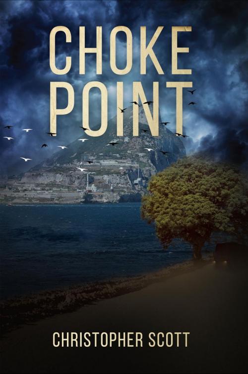 Cover of the book Choke Point by Christopher Scott, Christopher Scott Author