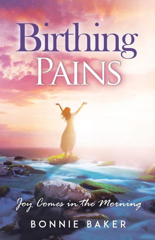 Cover of the book Birthing Pains by Bonnie Baker, Christian Living Books, Inc.