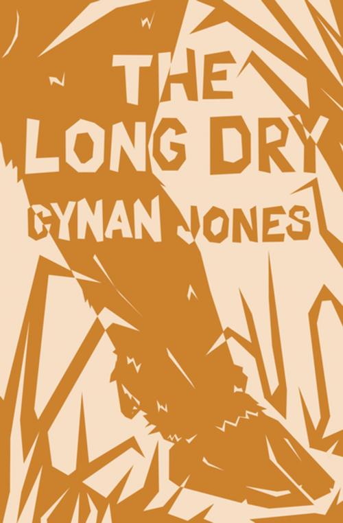 Cover of the book The Long Dry by Cynan Jones, Coffee House Press