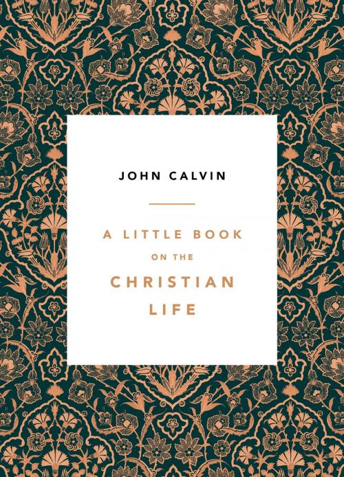 Cover of the book A Little Book on the Christian Life, Damask by John Calvin, Reformation Trust Publishing