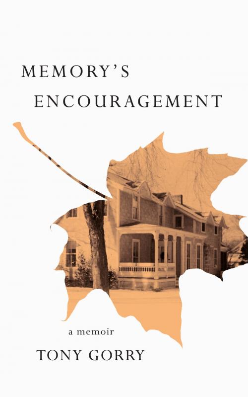 Cover of the book Memory's Encouragement by Tony Gorry, Paul Dry Books