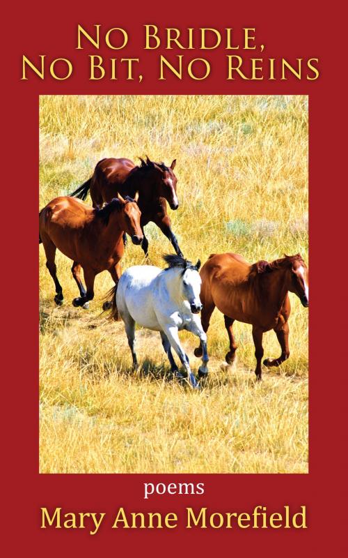 Cover of the book No Bridle, No Bit, No Reins by Mary Anne Morefield, Coffeetown Press