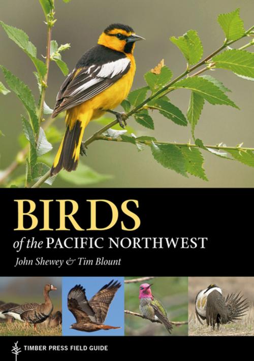 Cover of the book Birds of the Pacific Northwest by John Shewey, Tim Blount, Timber Press