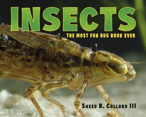 Cover of the book Insects by Sneed B. Collard, III, Charlesbridge