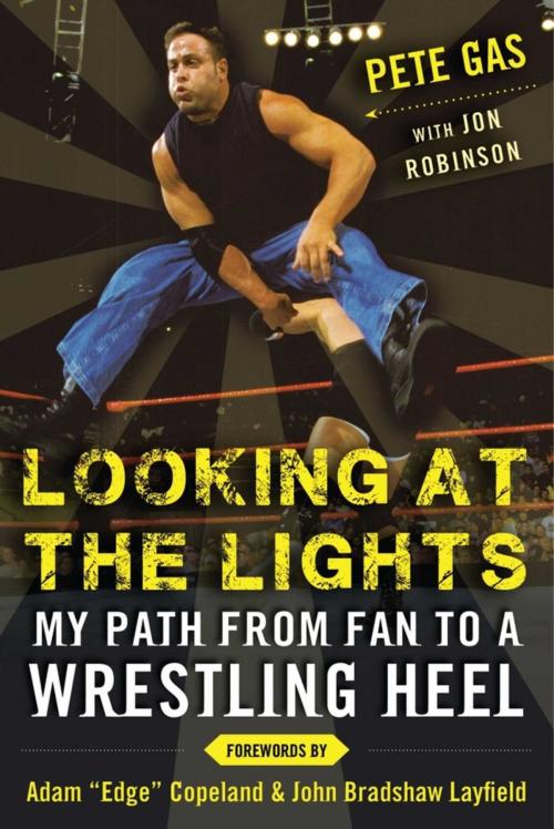Cover of the book Looking at the Lights by Pete Gas, Sports Publishing