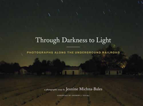 Cover of the book Through Darkness to Light by Jeanine Michna-Bales, Princeton Architectural Press