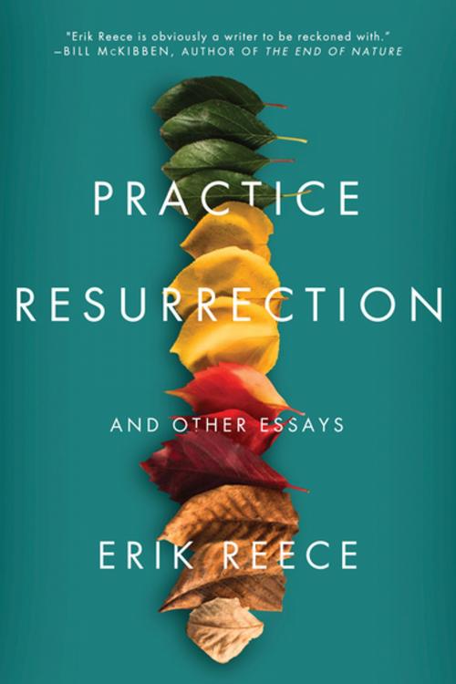Cover of the book Practice Resurrection by Erik Reece, Counterpoint