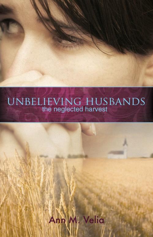 Cover of the book Unbelieving Husbands by Ann M. Velia, Ambassador International