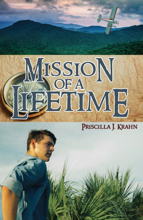 Cover of the book Mission of a Lifetime by Priscilla J. Krahn, Ambassador International