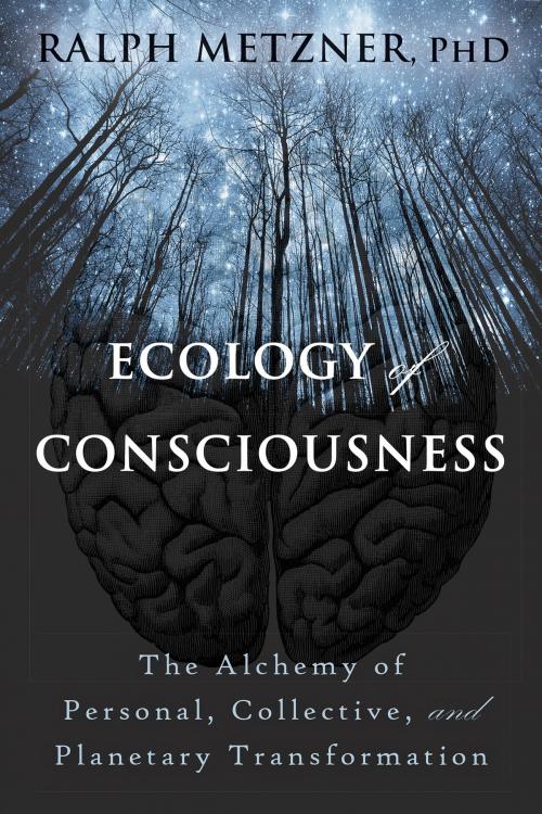 Cover of the book Ecology of Consciousness by Ralph Metzner, PhD, New Harbinger Publications