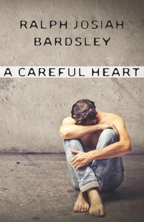 Cover of the book A Careful Heart by Ralph Josiah Bardsley, Bold Strokes Books, Inc.