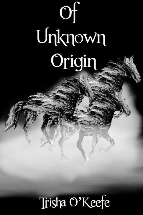 Cover of the book Of Unknown Origin by Trisha O'Keefe, Black Opal Books