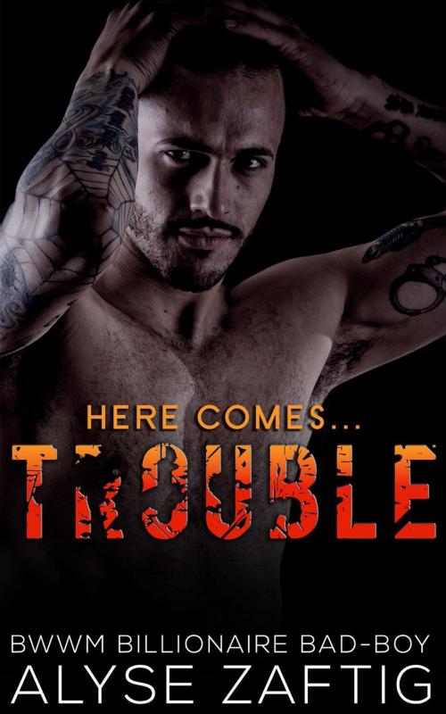 Cover of the book Trouble by Alyse Zaftig, Zaftig Publishing