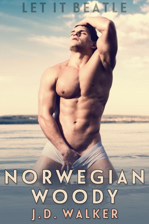 Cover of the book Norwegian Woody by J.D. Walker, JMS Books LLC