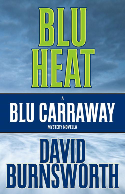 Cover of the book BLU HEAT: A Novella by David Burnsworth, Henery Press