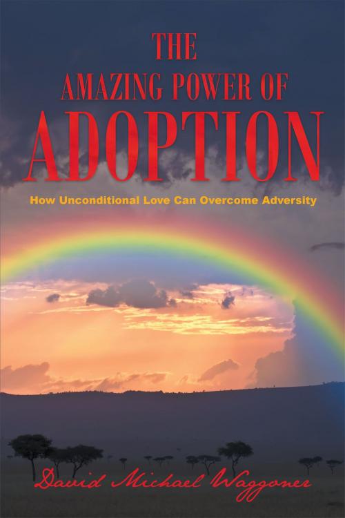 Cover of the book The Amazing Power of Adoption by David Michael Waggoner, Christian Faith Publishing