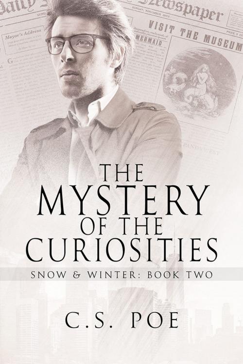 Cover of the book The Mystery of the Curiosities by C.S. Poe, Dreamspinner Press