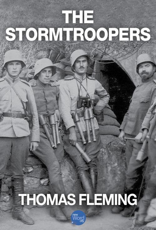 Cover of the book The Stormtroopers by Thomas Fleming, New Word City, Inc.