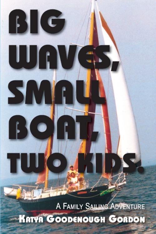 Cover of the book Big Waves, Small Boat, Two Kids by Katya Goodenough Gordon, North Star Press of St. Cloud