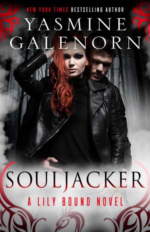 Cover of the book Souljacker by Yasmine Galenorn, Diversion Books