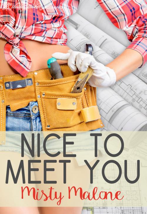 Cover of the book Nice To Meet You by Misty Malone, Blushing Books