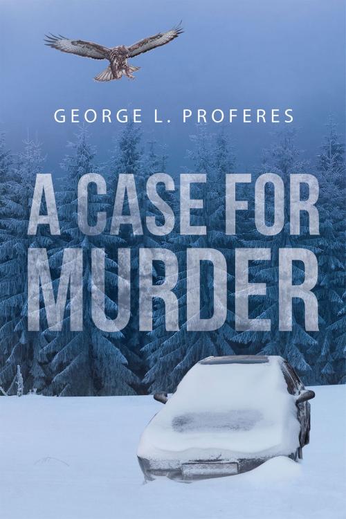 Cover of the book A Case for Murder by George L. Proferes, Page Publishing, Inc.