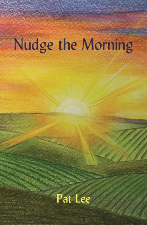 Cover of the book Nudge the Morning by Pat Lee, Ginninderra Press