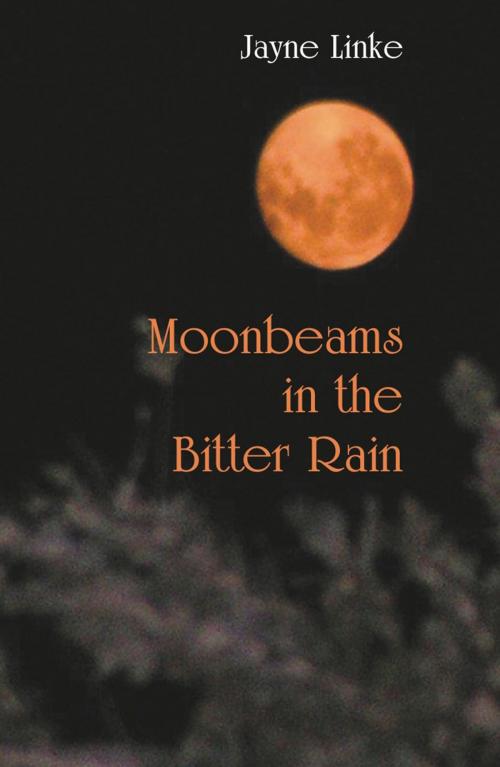 Cover of the book Moonbeams in the Bitter Rain by Jayne Linke, Ginninderra Press