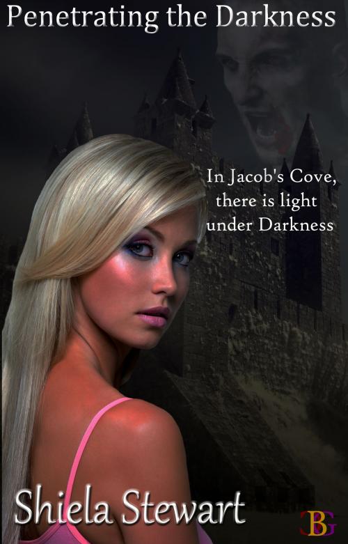 Cover of the book Penetrating the Darkness by Shiela Stewart, Champagne Book Group
