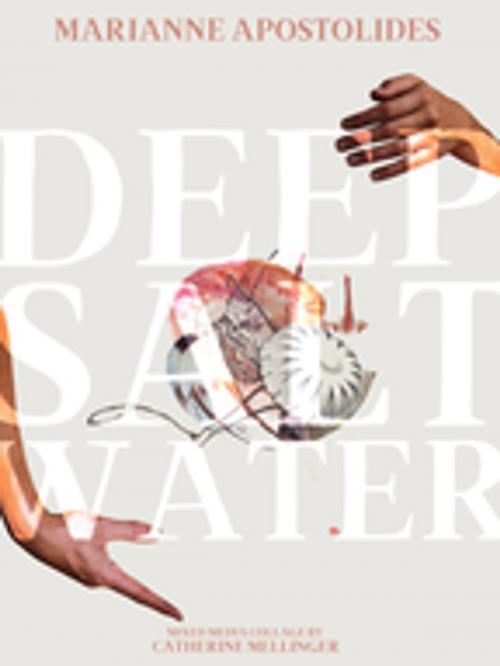 Cover of the book Deep Salt Water by Marianne Apostolides, BookThug