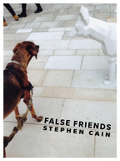 Cover of the book False Friends by Stephen Cain, BookThug