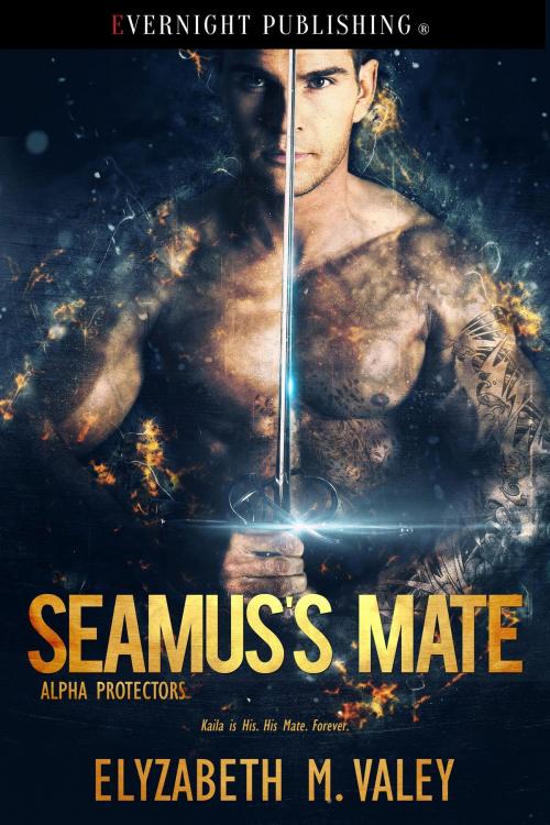 Cover of the book Seamus's Mate by Elyzabeth M. VaLey, Evernight Publishing