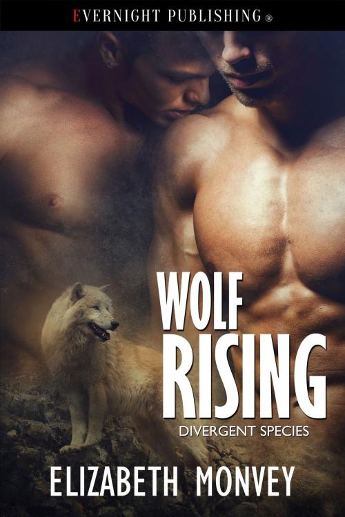Cover of the book Wolf Rising by Elizabeth Monvey, Evernight Publishing
