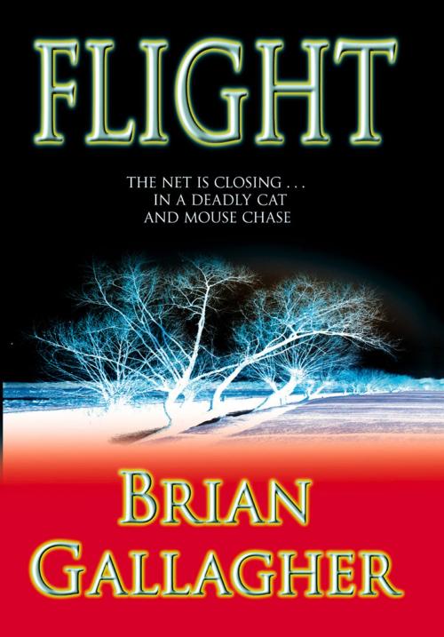 Cover of the book Flight by Brian Gallagher, Poolbeg Press Ltd