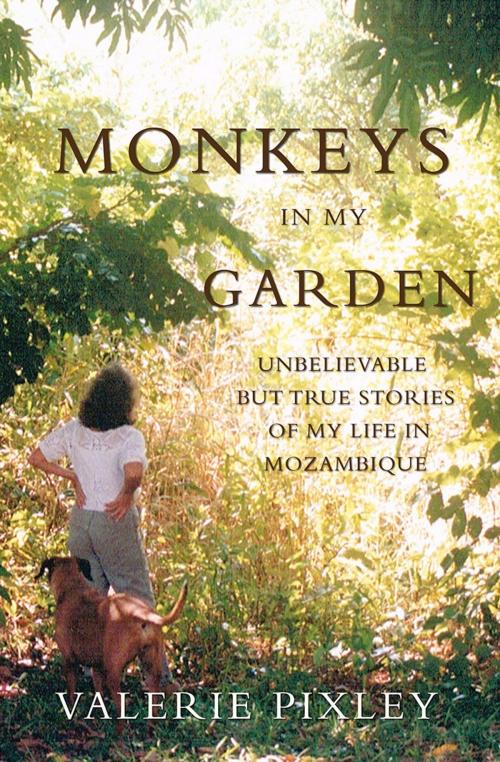 Cover of the book Monkeys in my Garden by Valerie Pixley, Troubador Publishing Ltd