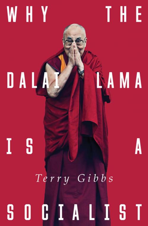 Cover of the book Why the Dalai Lama is a Socialist by Terry Gibbs, Zed Books