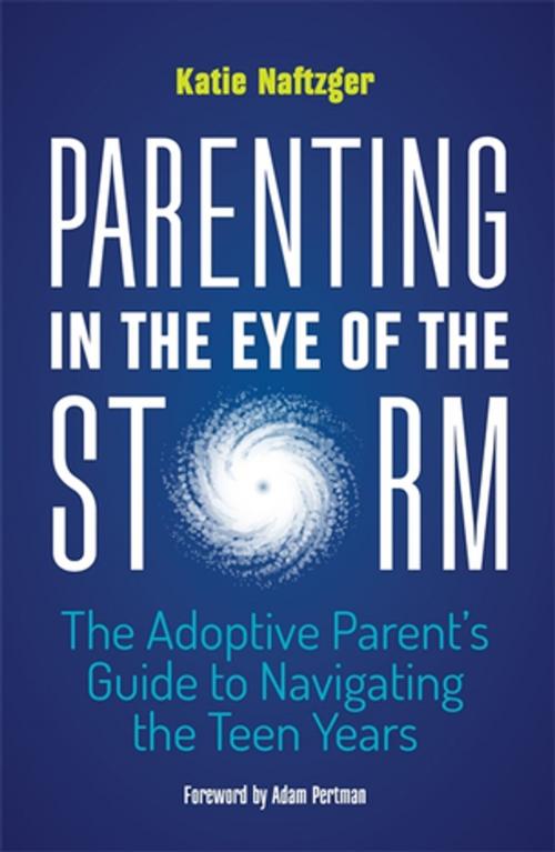 Cover of the book Parenting in the Eye of the Storm by Katie Naftzger, Jessica Kingsley Publishers