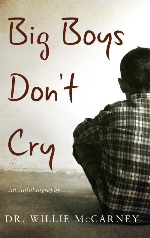 Cover of the book Big Boys Don't Cry by Dr. Willie McCarney, Troubador Publishing Ltd